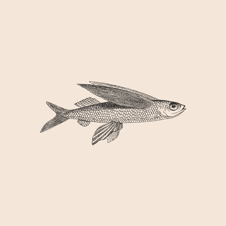 Linha Botânica - Peixe I