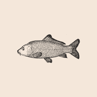 Linha Botânica - Peixe III