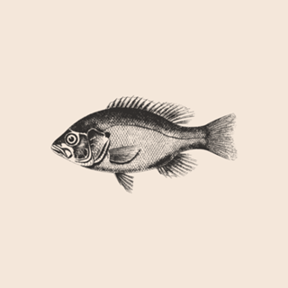 Linha Botânica - Peixe VI