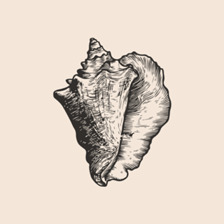 Linha Botânica - Concha II