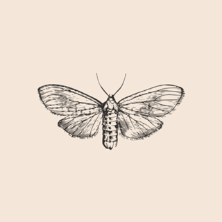 Linha Botânica - Mariposa
