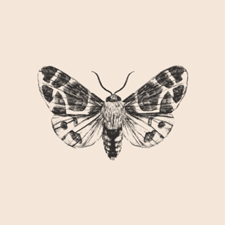 Linha Botânica - Mariposa I