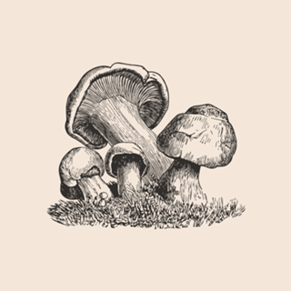Linha Botânica - Cogumelo I