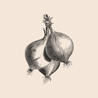 Linha Botânica - Cebola