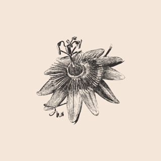 Linha Botânica - flor de maracujá