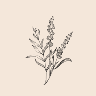 Linha Botânica - Lavanda