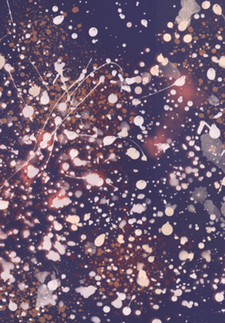 Universo