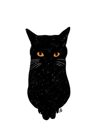 Black Cat