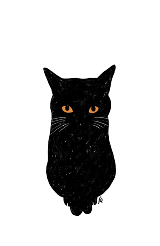 Black Cat