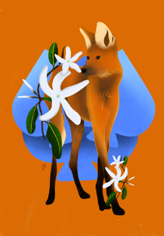 Lobo Guará