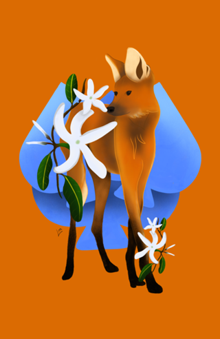 Lobo Guará