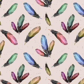 Feathers