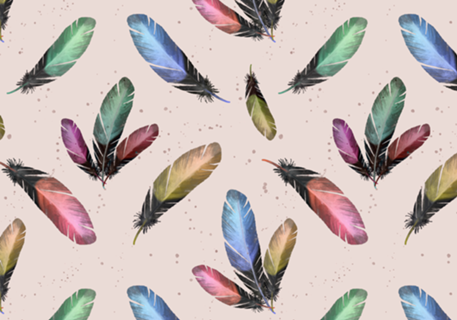 Feathers