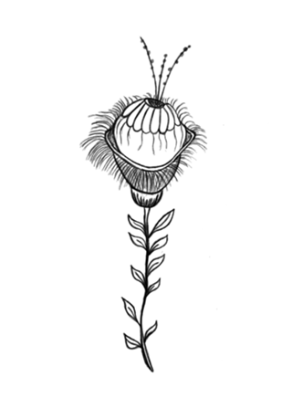 COLEÇÃO TATTOO -Flor 2