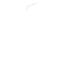 Black Lives Matter