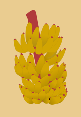 Bananas