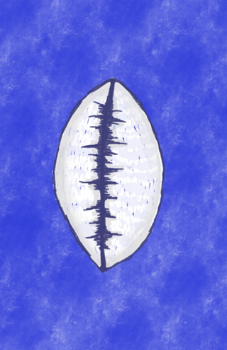 Shell Spirits on Blue / Búzios no Azul