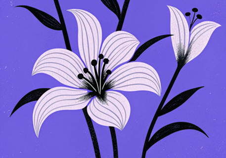 Flores Retrô