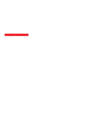 Cat Anatomy 2