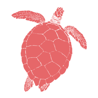 Turtle Vibes II