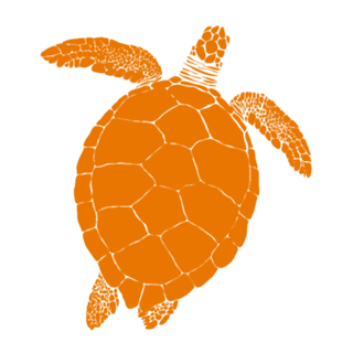 Turtle Vibes III
