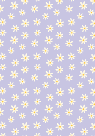 Margaridas (Lilás)