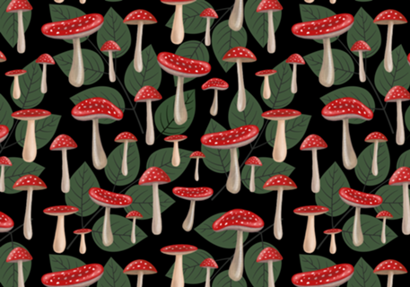 Amanita Mushrooms