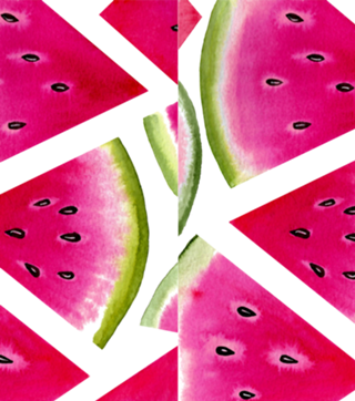 Watercolor Watermelon Max