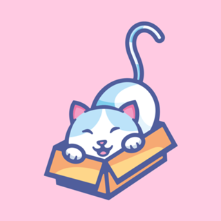 Gato na caixa