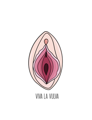 Viva La Vulva