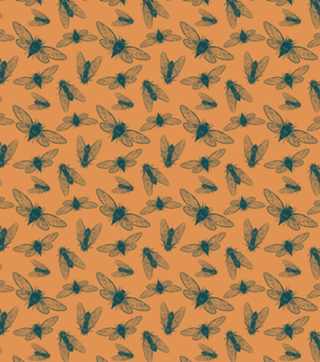 Cicadas- Marinho e Laranja