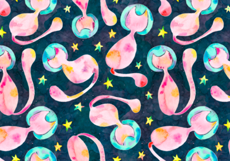 Gatos Astronautas