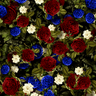 Padrão Floral de Rosas