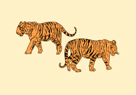 Twin Tigers