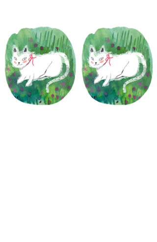 Gato branco