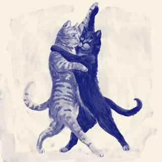 Gatos dançarinos