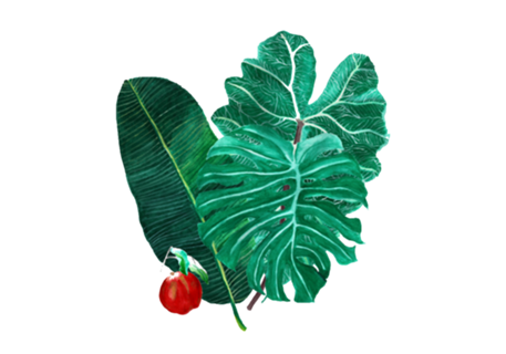 Tropicália