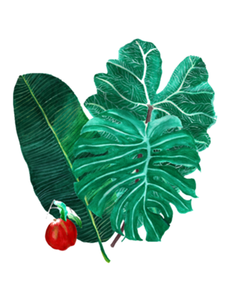 Tropicália