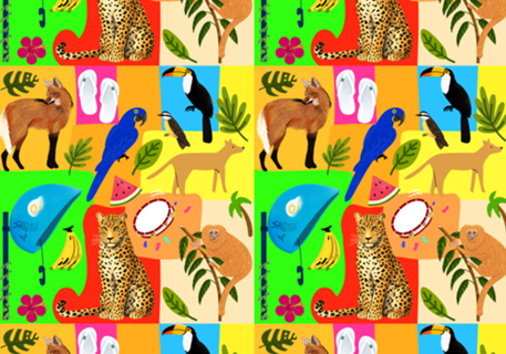 Brasileiragem - colorido
