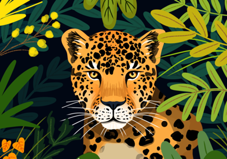 Panthera onca - Brasil Selvagem