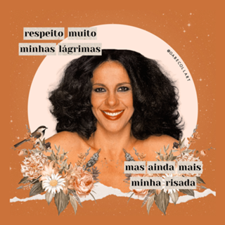 Colagem Gal Costa - vaca profana