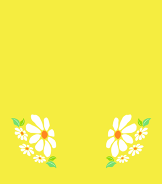 Flores Minimalista