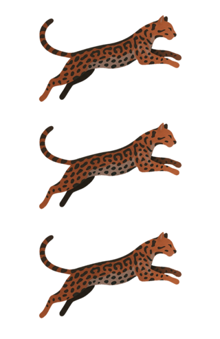 Convidado Jaguatirica
