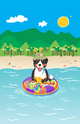 Summer Time Bernese