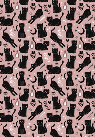 Gato preto e rosa