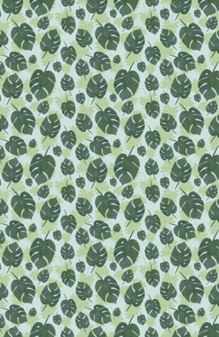 Monstera Dreams