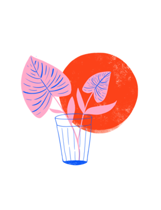 Uma planta no copo
