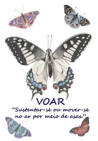 Borboleta Branca