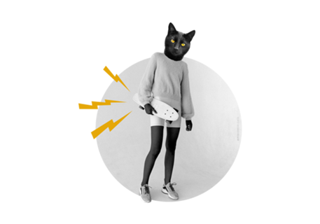 Black cat