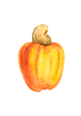 Caju